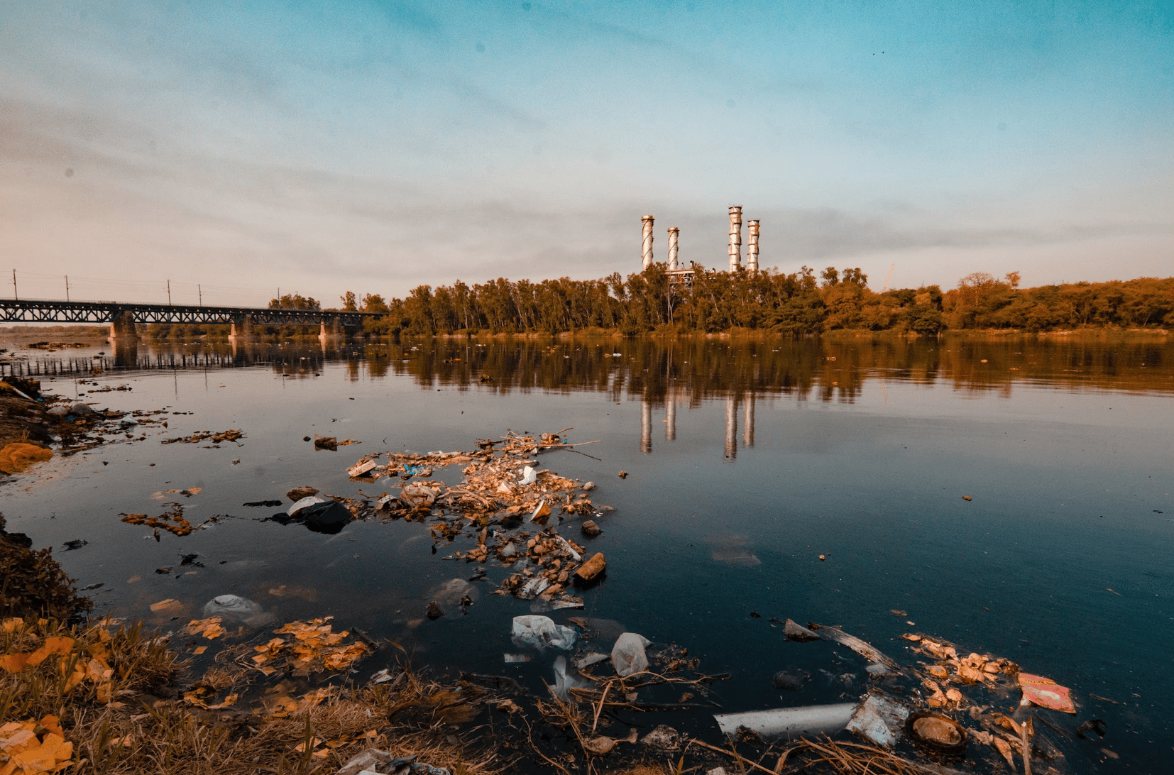 Paper | L’AI generativa è un ecosistema inquinato