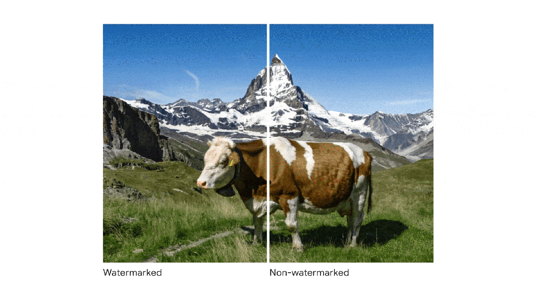 Google DeepMind lancia uno strumento di watermarking per le immagini generate dall’IA