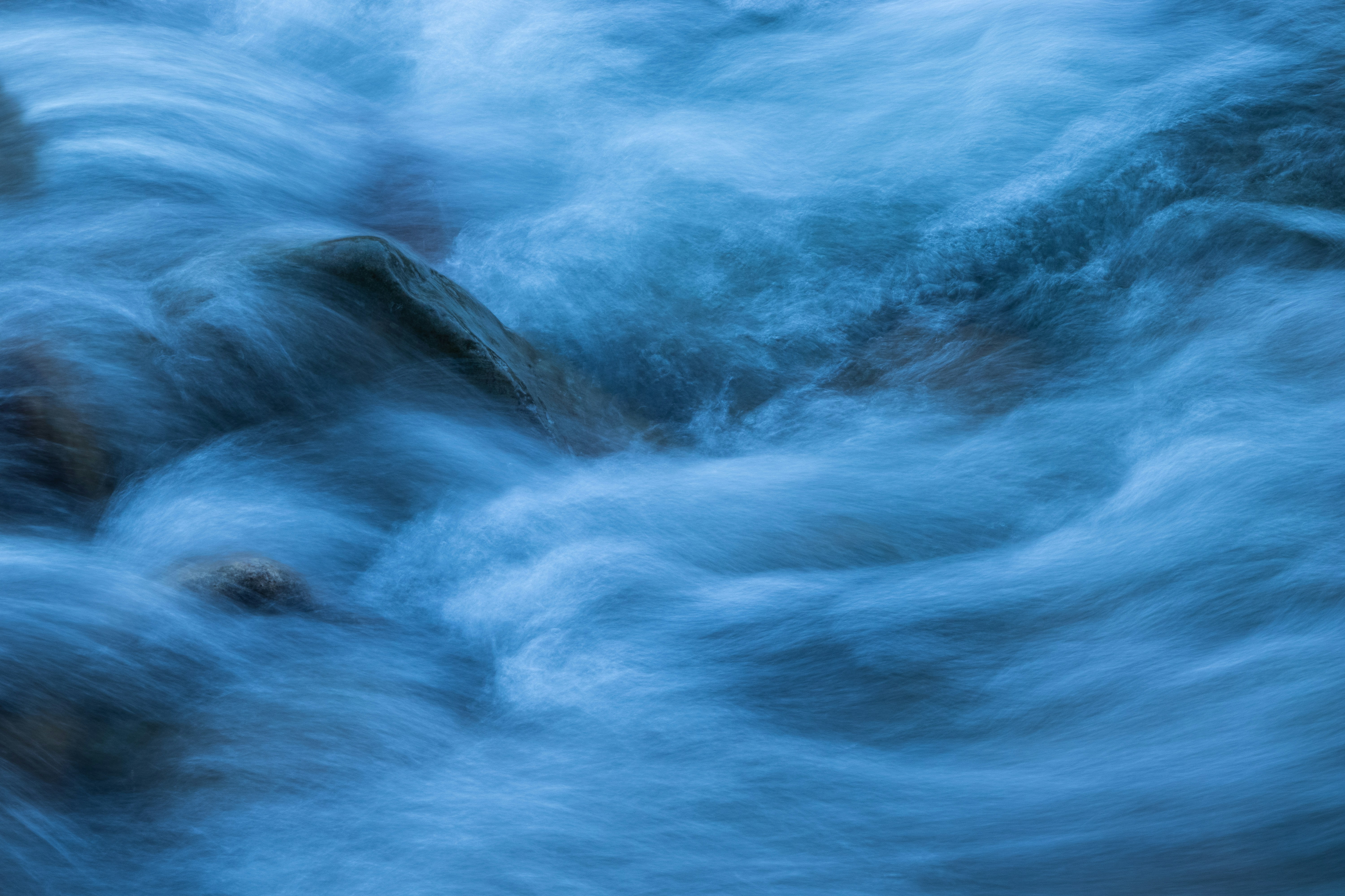 Gli algoritmi non sognano