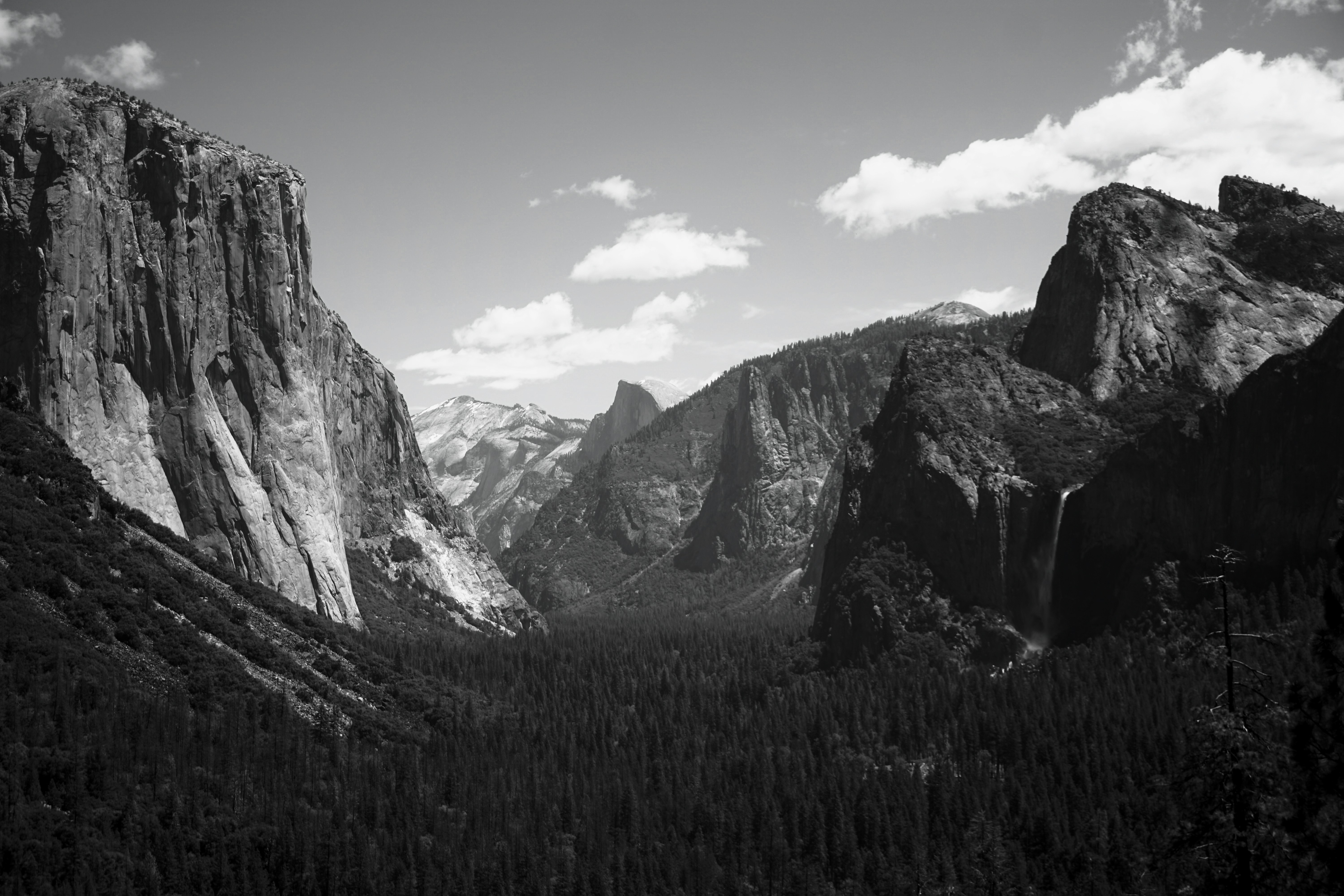 Adobe sotto accusa per immagini AI in stile Ansel Adams