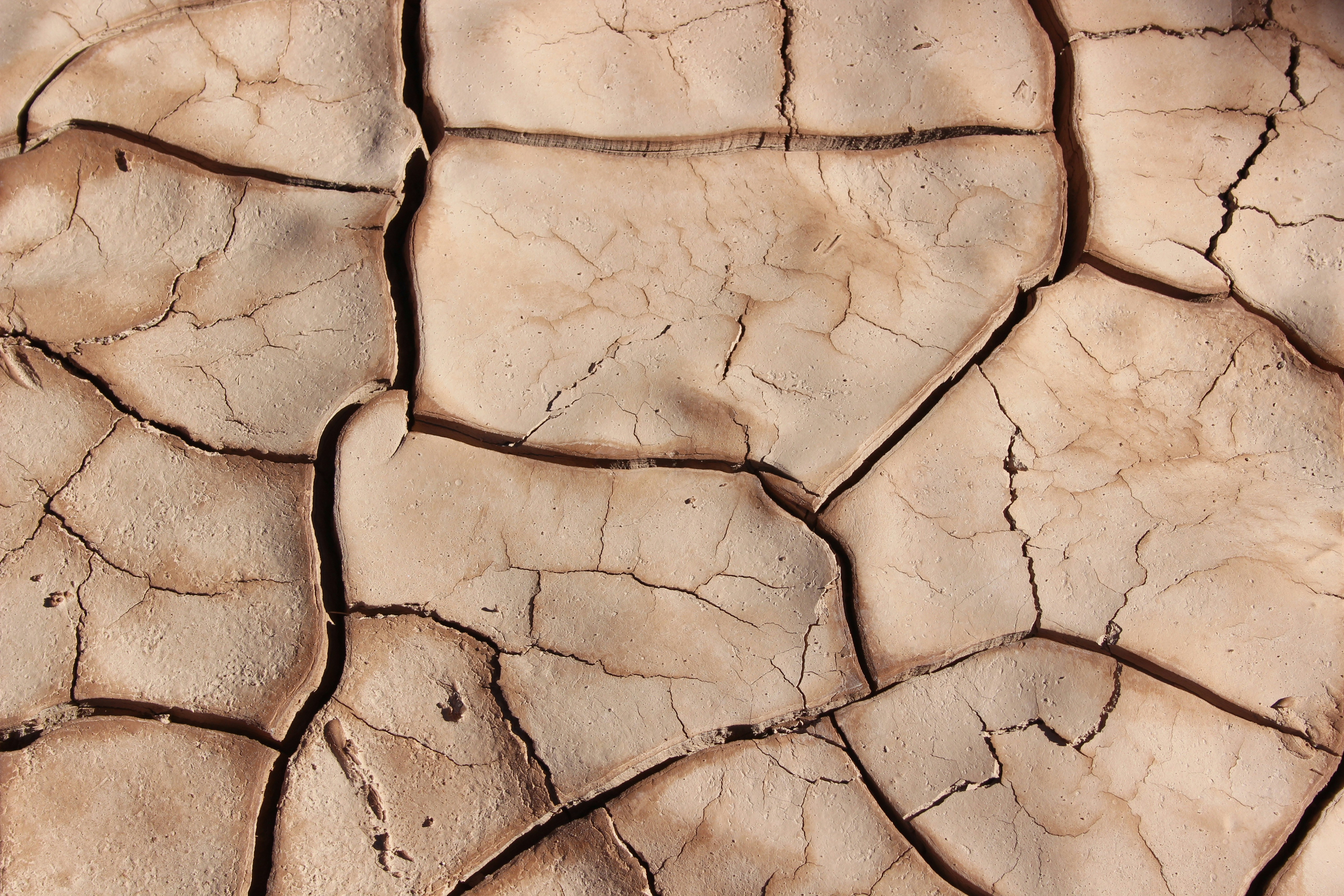 L’espansione dell’IA sta generando disastri ambientali