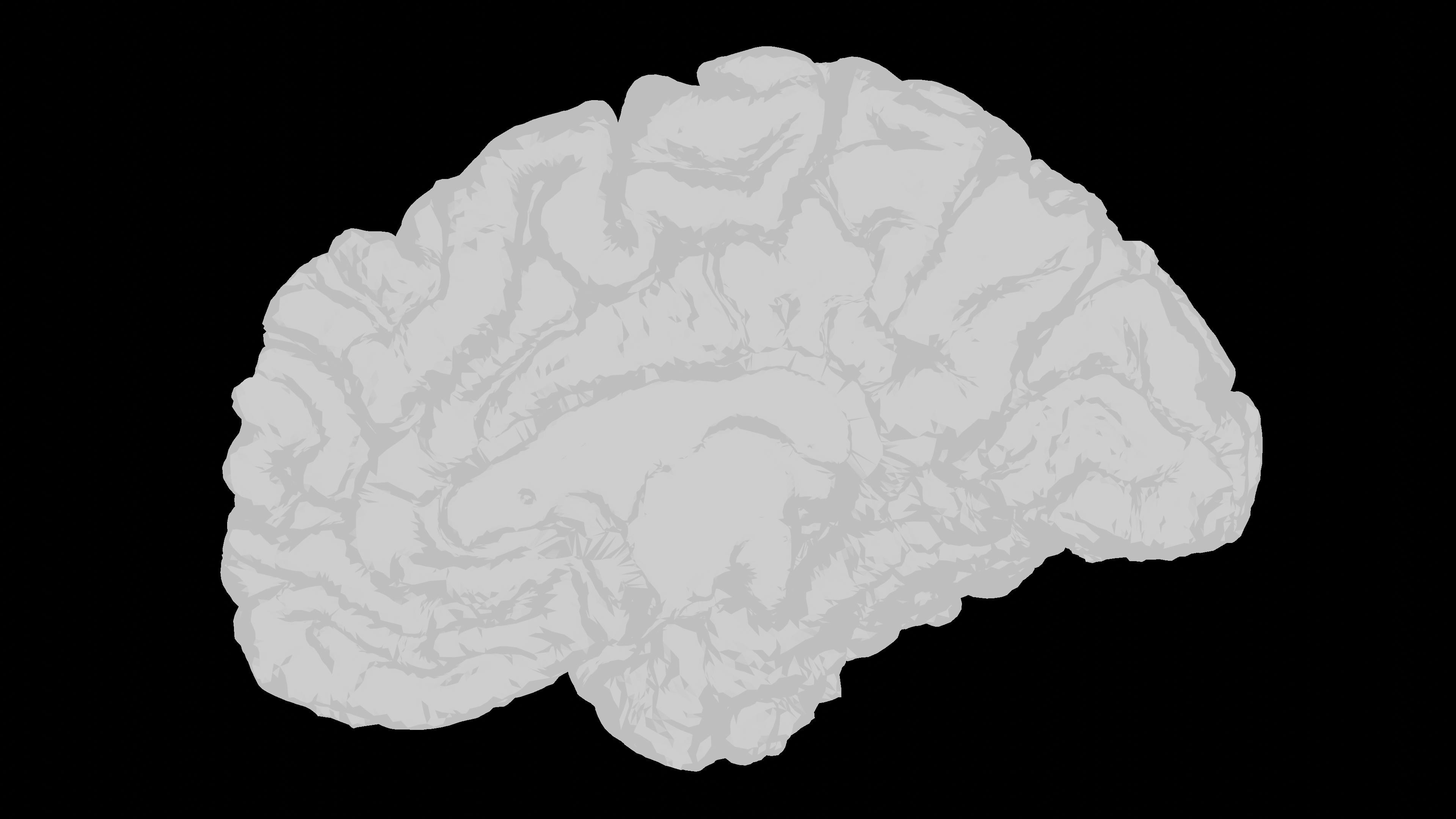 Neuralink pronta ad impiantare il secondo volontario con Telepathy