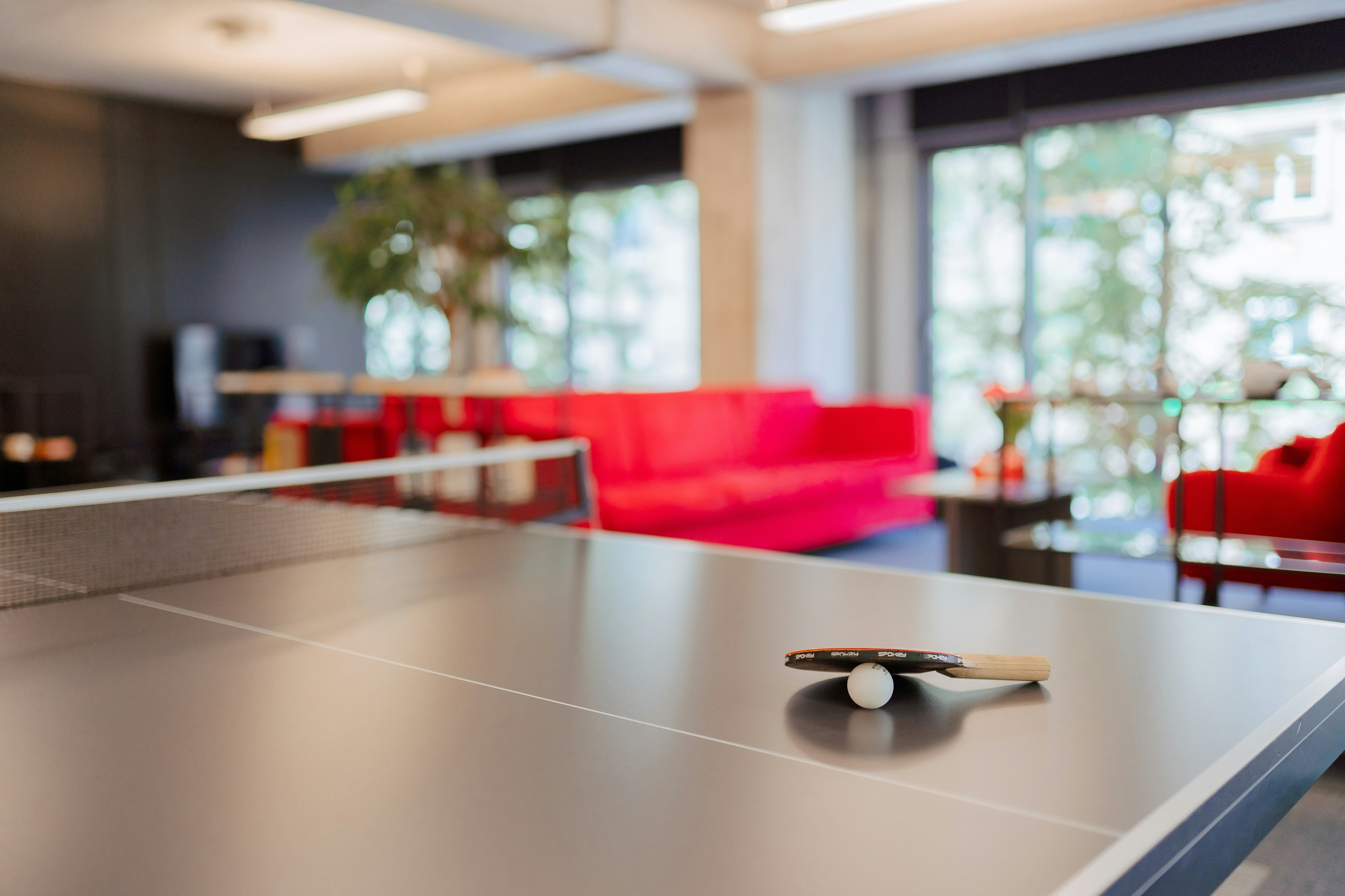primo piano su tavolo da ping pong