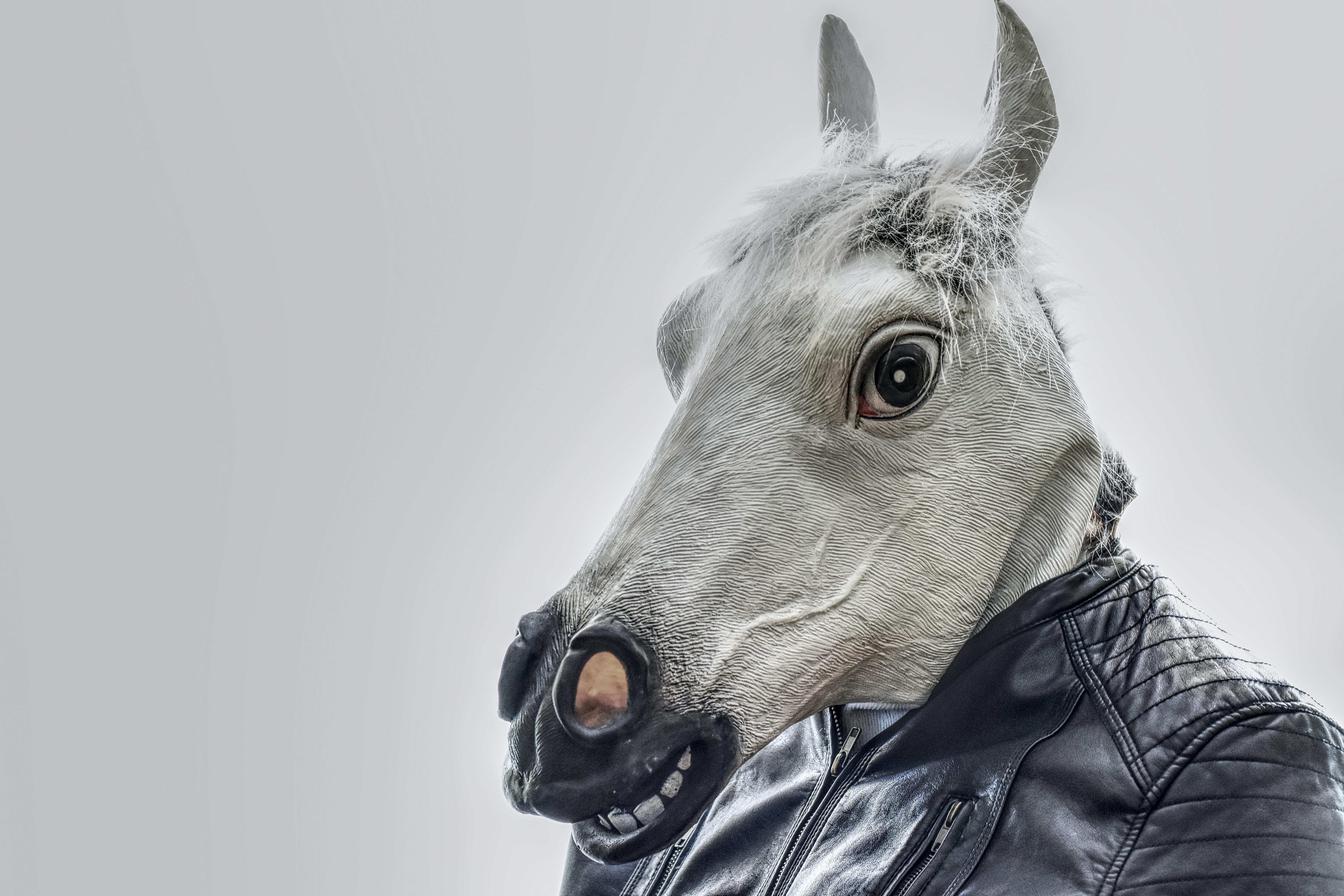 La falsa testa di cavallo Medici-Ricciardi: l’inganno dell’IA