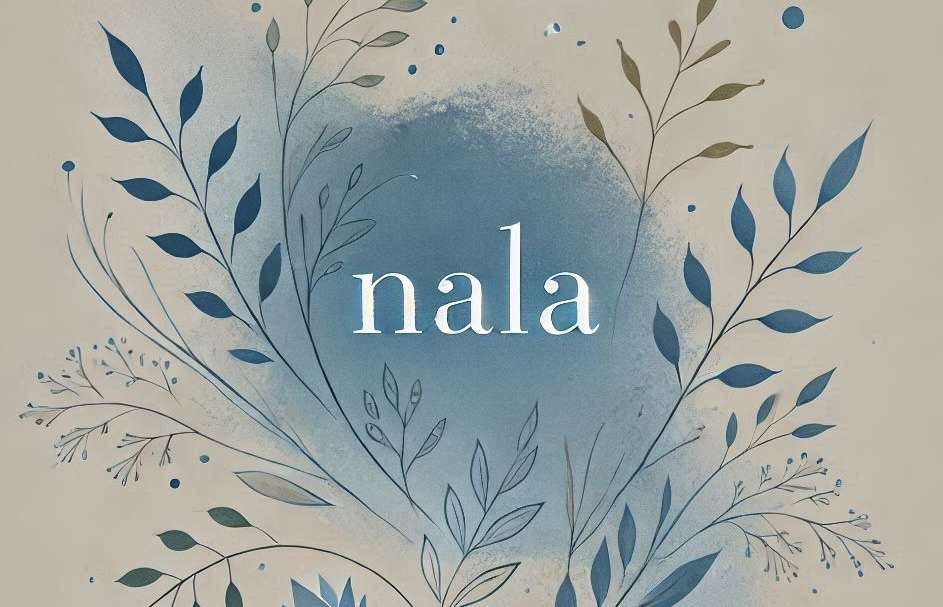 NALA, la startup che connette artisti e collezionisti